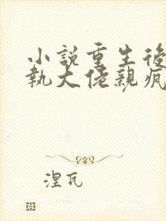 小说重生后被偏执大佬亲疯了全文免费阅读