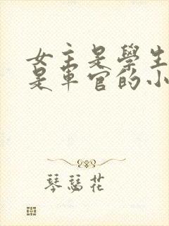 女主是学生男主是军官的小说