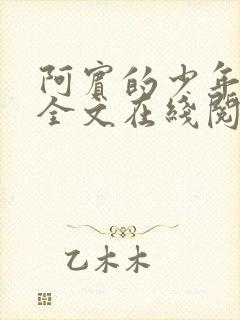 阿宾的少年阿宾全文在线阅读