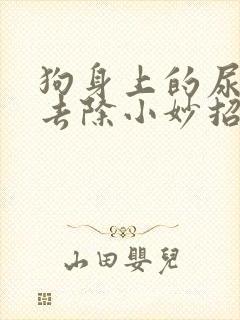 狗身上的尿骚味去除小妙招