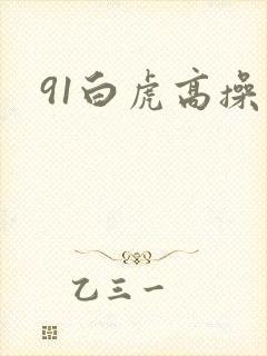 91白虎高操