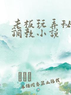 老板玩弄秘书h调教小说