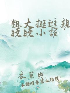 粗大挺进亲女h晓晓小说