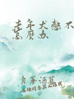 老年犬憋不住尿怎么办