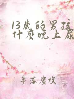 13岁的男孩为什么晚上尿床