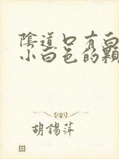 阴道口有白色的小白色的颗粒