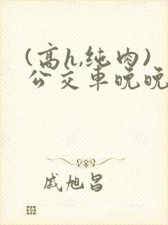 (高h,纯肉)公交车晚晚