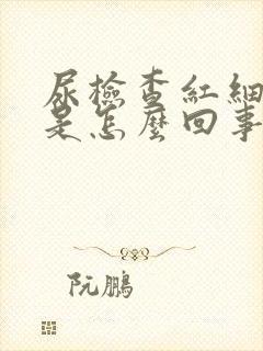 尿检查红细胞高是怎么回事