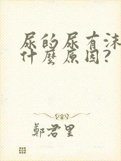 尿的尿有沫子是什么原因?