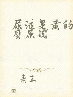 尿液是黄的是什么原因