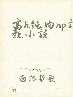 高h纯肉np调教小说