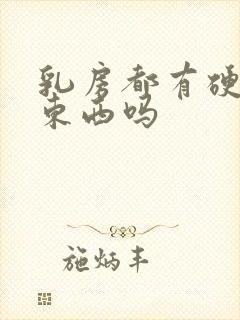 乳房都有硬硬的东西吗