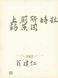 上厕所时拉出血的原因