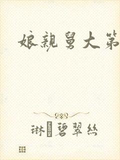 娘亲舅大第一集