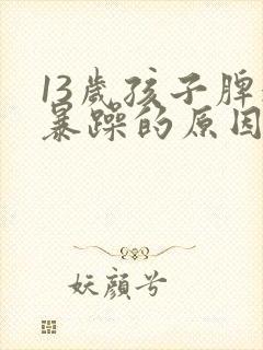 13岁孩子脾气暴躁的原因