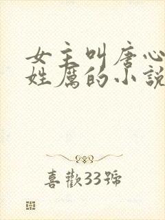 女主叫唐心男主姓厉的小说