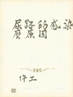 尿路的感染是什么原因