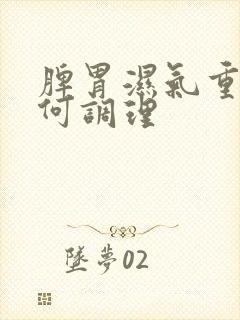 脾胃湿气重该如何调理