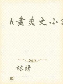 h黄爽文小说