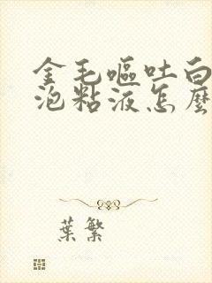 金毛呕吐白色泡泡粘液怎么办