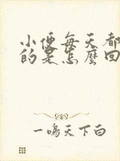 小便每天都是黄的是怎么回事