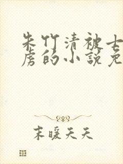 朱竹清被士兵俘虏的小说免费阅读