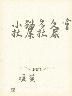 小猫多久会自己拉屎拉尿