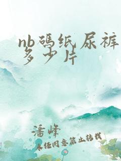 nb码纸尿裤买多少片