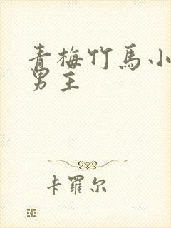 青梅竹马小说双男主