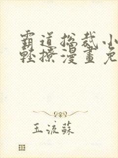 霸道总裁小叔请轻撩漫画免费下拉式六漫画