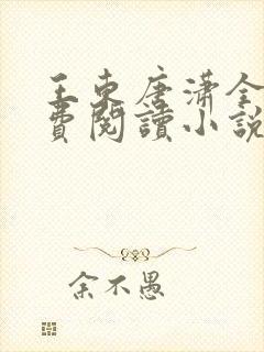 王东唐潇全本免费阅读小说