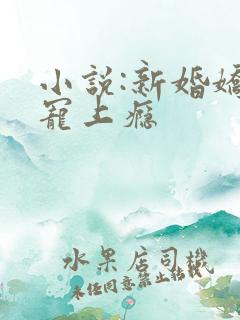 小说:新婚娇妻宠上瘾