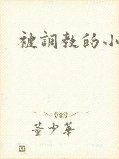 被调教的小骚货