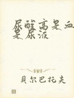 尿酸高是血液还是尿液