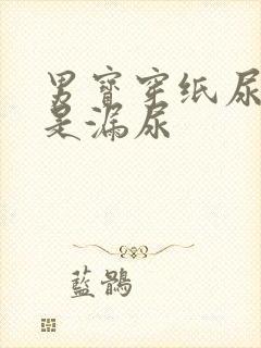 男宝穿纸尿裤总是漏尿