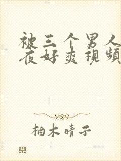 被三个男人躁一夜好爽视频