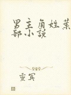 男主角姓叶的全部小说