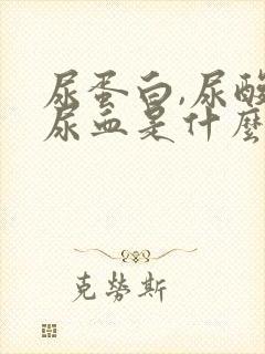 尿蛋白,尿酸高尿血是什么情况