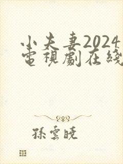 小夫妻2024电视剧在线观看全集免费高清