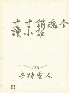 寸寸销魂全文阅读小说