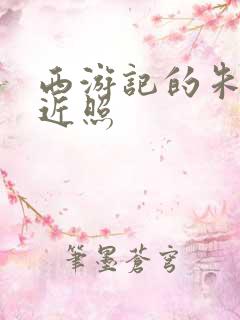 西游记的朱琳的近照