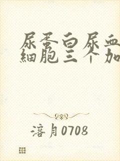 尿蛋白尿血尿白细胞三个加是因为什么