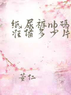 纸尿裤nb码要准备多少片