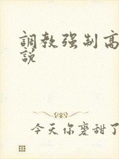 调教强制高h小说