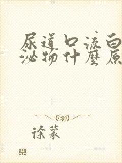 尿道口流白色分泌物什么原因