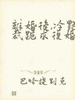 离婚后,冷艳总裁跪求复婚全文免费阅读