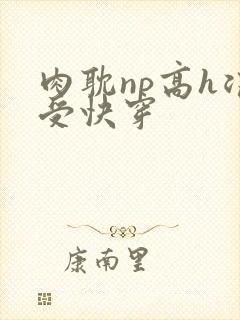 肉耽np高h浪受快穿