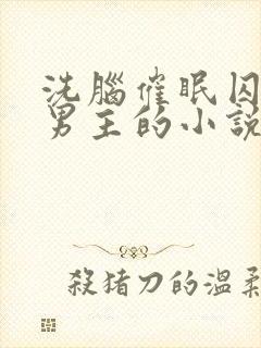 洗脑催眠囚禁双男主的小说