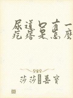 尿道口有一个小疙瘩是怎么回事