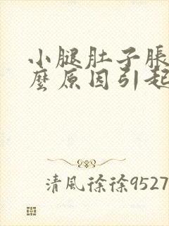 小腿肚子胀痛什么原因引起的男性